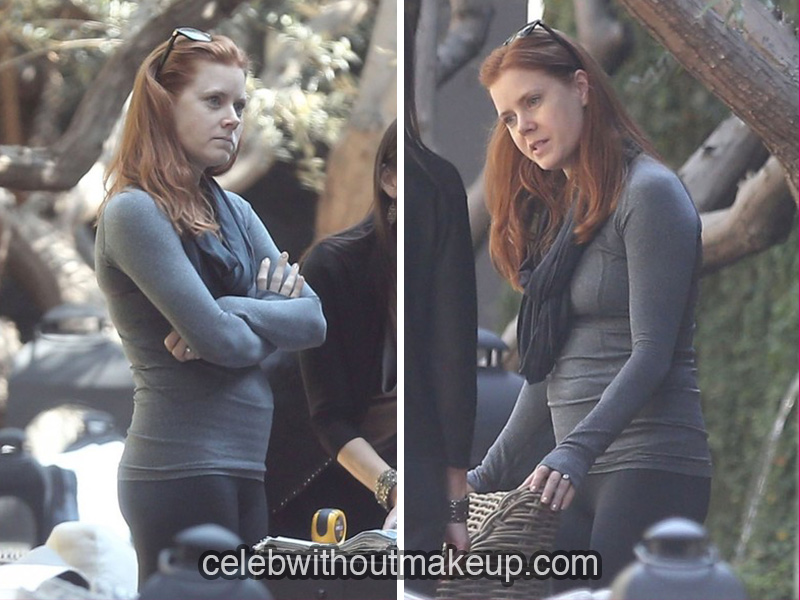 Amy Adams without makeup